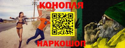 прущие грибы Шебекино